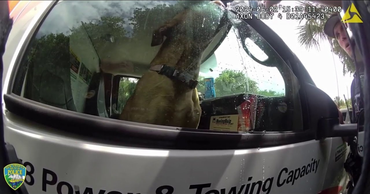 Dog Left in Sweltering U-Haul While Owners Visit Beach