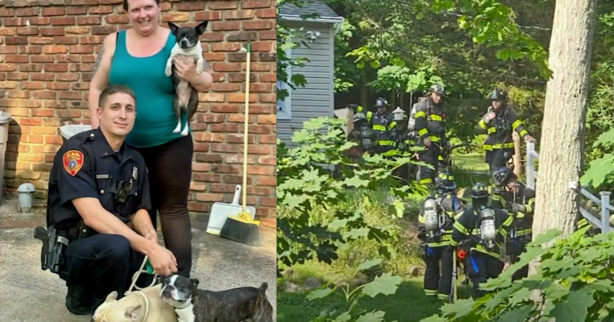 County Officer Heroically Rescues Three Dogs from Burning Home