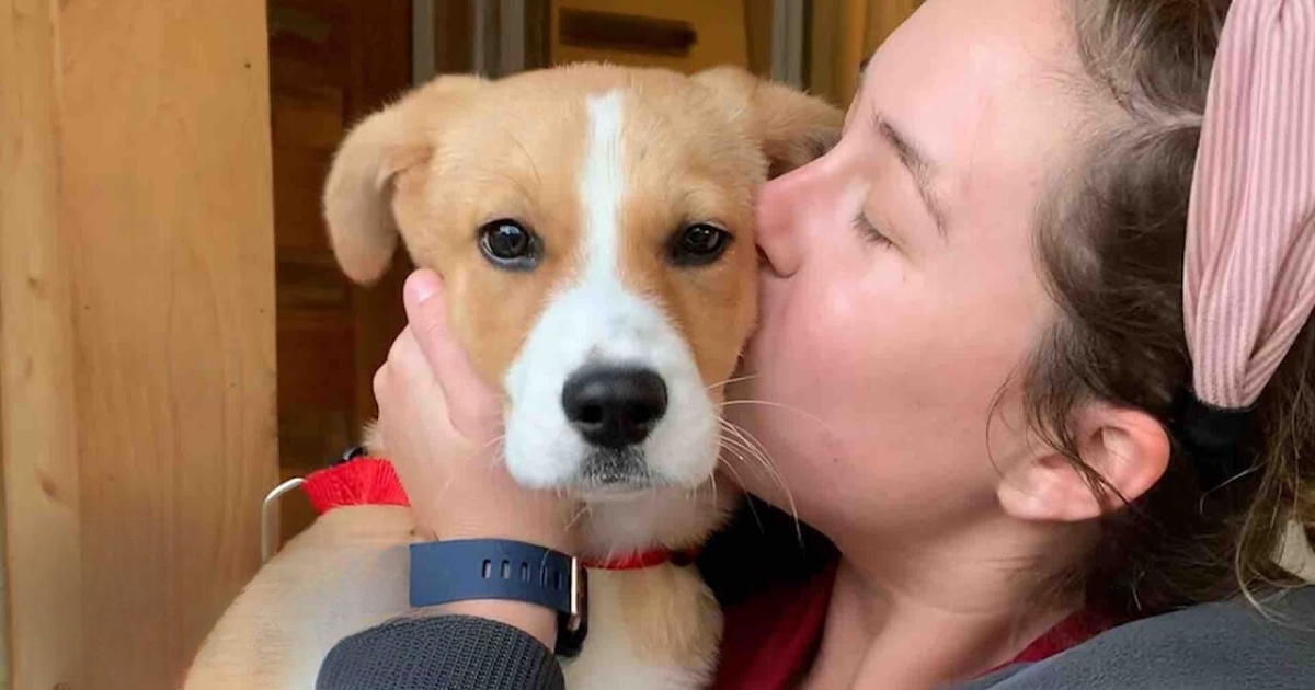 Once Tearful Shelter Puppy Finds a Loving Forever Home