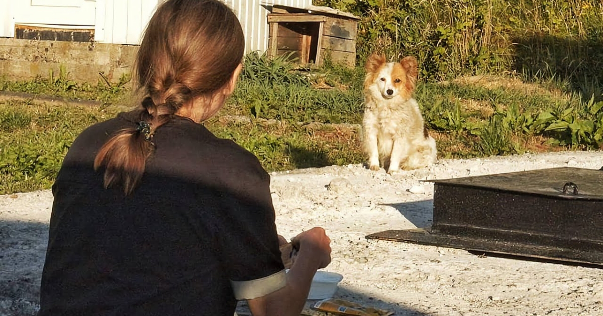 Woman Spends 6 Months Trying To Rescue Scared Dog, Something Unexpected Happens