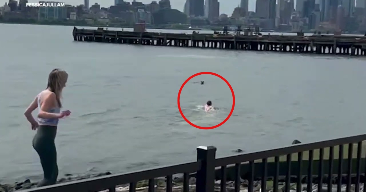 New Jersey Man Jumps Into Hudson River to Save Dog