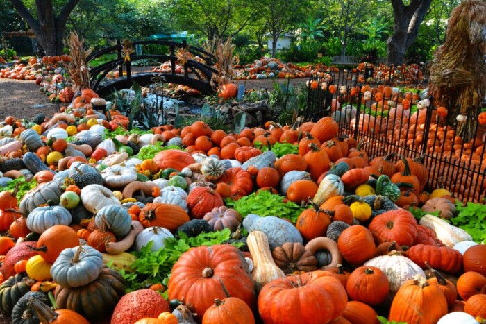 The 19 Top Fall Festivals in the U.S. for 2024